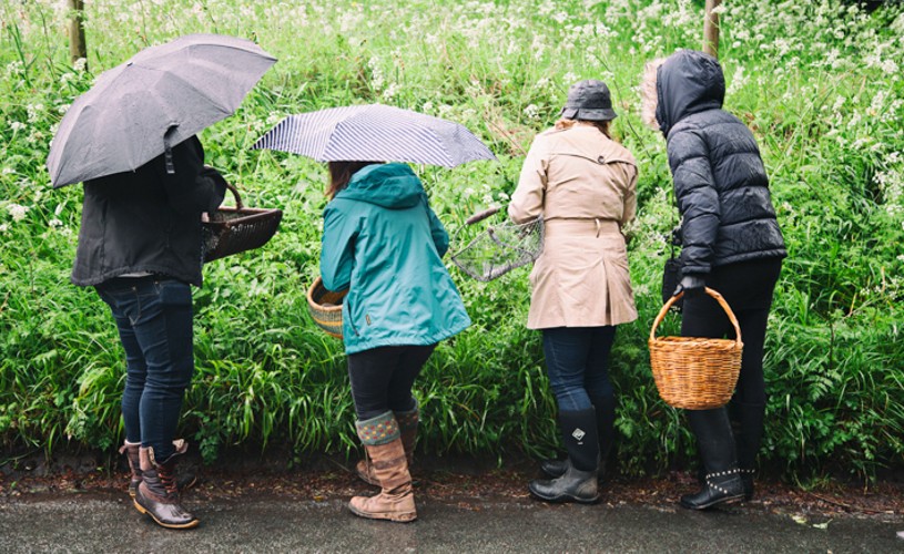 People foraging holding baskets and umbrellas